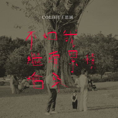 不如我继续累积沧桑