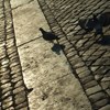 midi习作 无题
