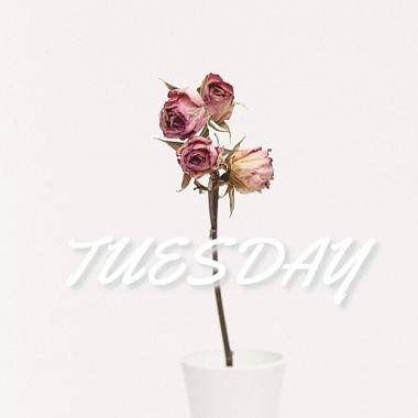 Tuesday (Demo)