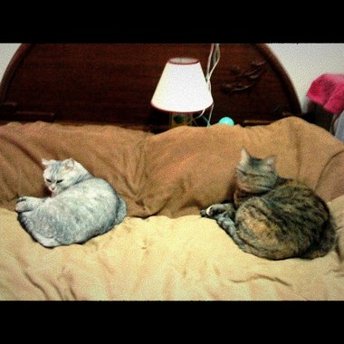 In My Bed