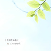 小世界