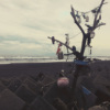  废废的Ambient Guitar 