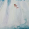 海洋游记
