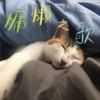 邱淑蝉-慵懒之歌（demo)