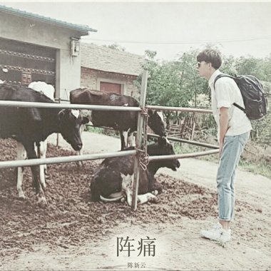 阵痛