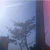 嗯很奇怪(intro)