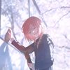 海棠花