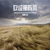 吹过那阵风