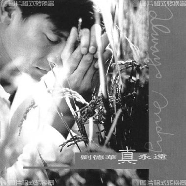 真永远-赵元龙