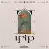 大成 DACHENG - TRIP ft.信吾 SINGOU99