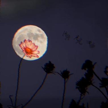 月光曲