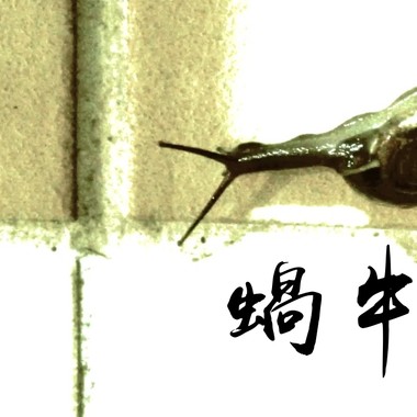 蜗牛｜Snail