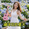 绣球花的夏天，林靖超