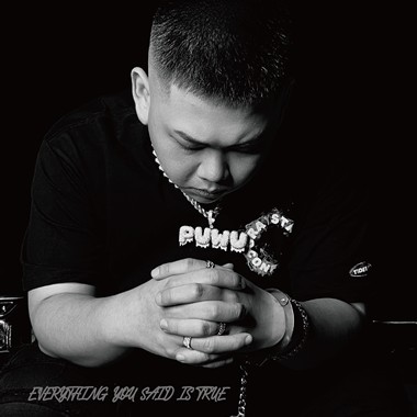 Puwu - 你说的都没错