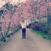 告白颂 demo