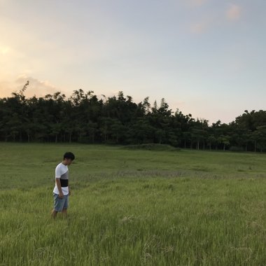 让我在你的草原流浪 demo