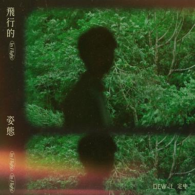 飞行的姿态
