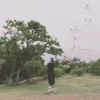 鸟的晚安歌 (Birdy's Lullaby)