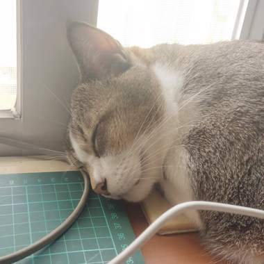 买不到快筛试剂，而我却只想逃离