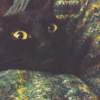 猫 40sec DEMO
