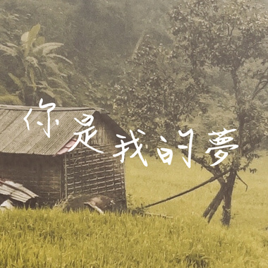 你是我的梦
