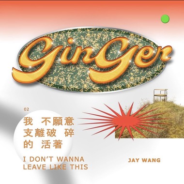 JAY WANG 王子慧 - 我不愿意支离破碎的活著 I DON'T WANNA LEAVE LIKE THIS ( Prod. By Jaake )