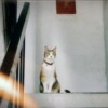 我亲爱的你_demo