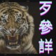 歹参详（DEMO）