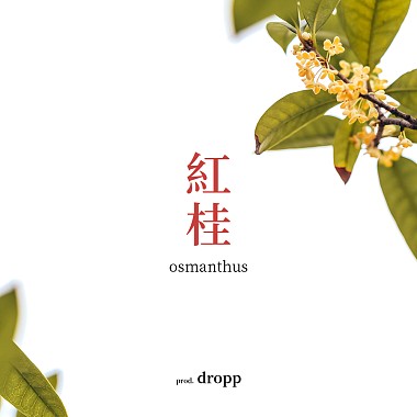 红桂 / osmanthus