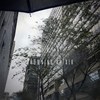 Rain 雨