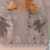 ORANGENTLE 橘色温柔