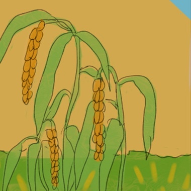 05-'aveoveoyu 感谢