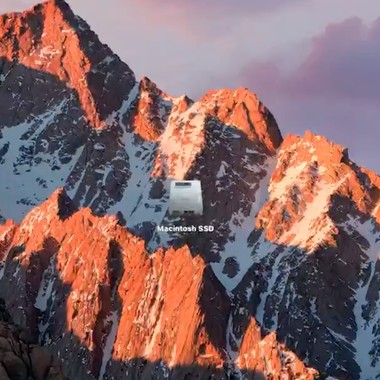 Pied Piper, You Steel My Dream 吹笛人偷走我的梦