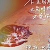 不是因为晴朗才爱你cover