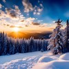 我期待的不是雪（饶舌版）