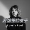 爱情的傻子