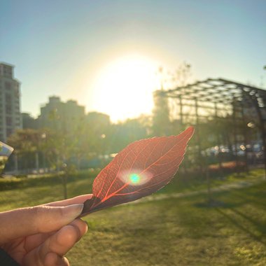 WiThered away记忆博物馆