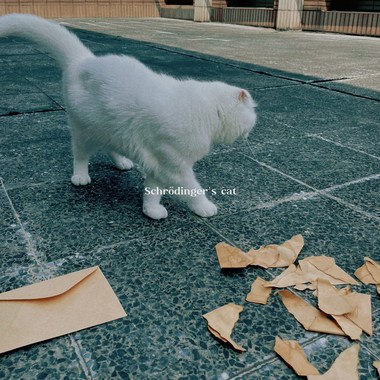 Schrödinger's Cat