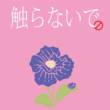 她是一朵我摘不到的花
