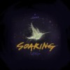 Soaring (南光中学佰拾壹级毕业歌)