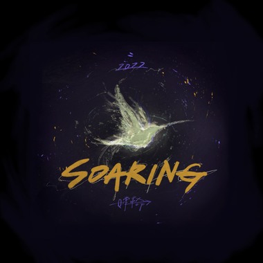 Soaring (南光中学佰拾壹级毕业歌)
