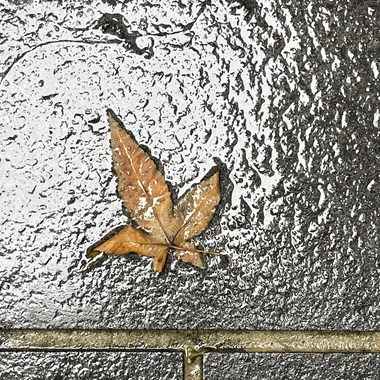 明仔载cover