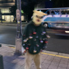 倒数第二个庆典
