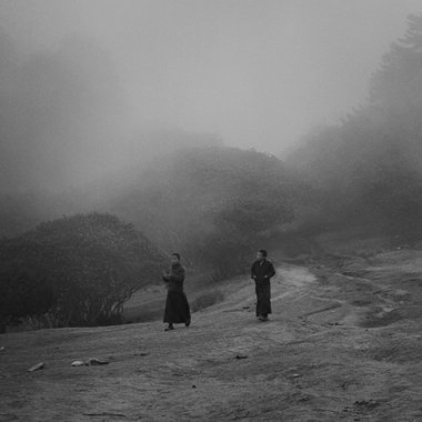风往哪儿吹