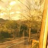 梦demo