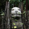 《风花雪月》 : Whispers of Nature