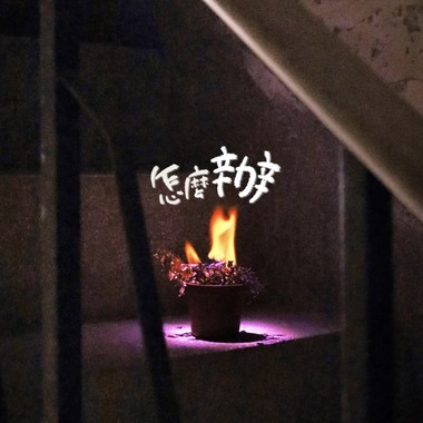 怎么办