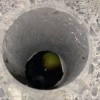 妈妈，我的西洋梨掉进水沟 demo