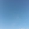 蓝