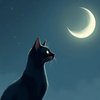野猫